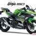 Penjelasan Tentang Motor Kawasaki Ninja RR 4-TAK Yang Bisa Menjadi Pilihan Anda